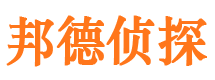 洛扎市私人侦探